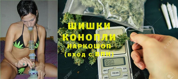 дживик Осинники