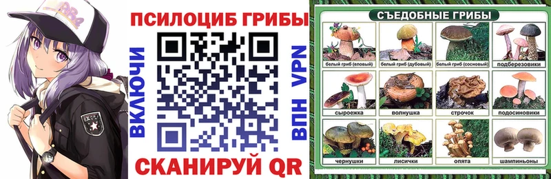 Псилоцибиновые грибы прущие грибы  как найти наркотики  Сольвычегодск 